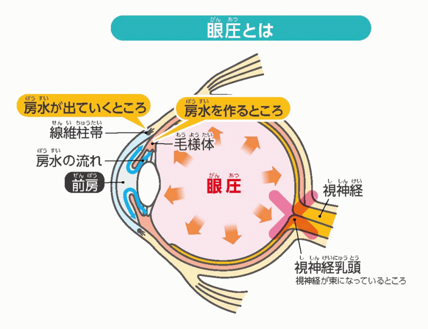 眼圧とは